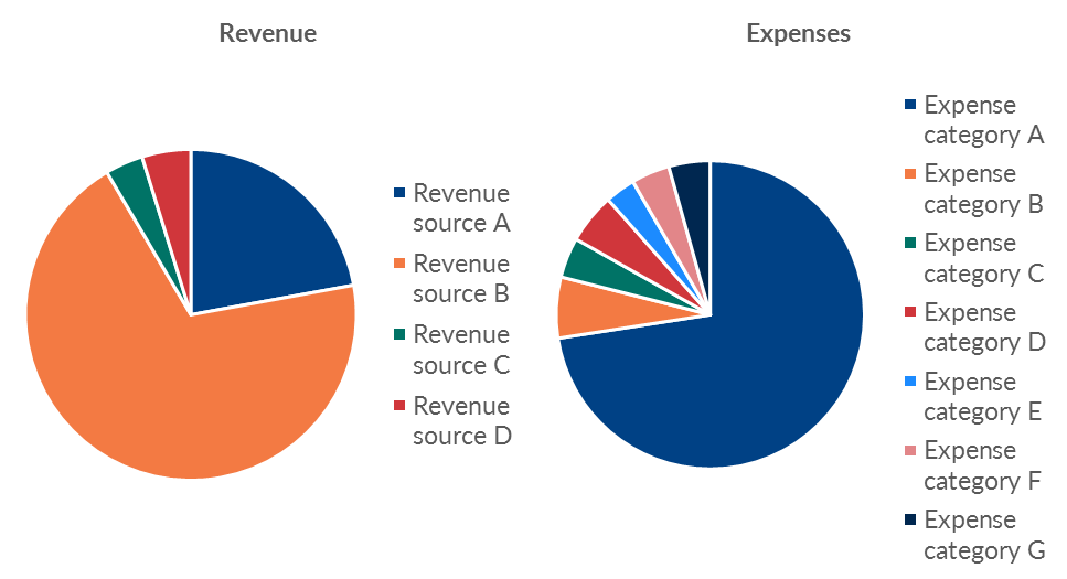 Ann K. Emery's pie chart makeover: Here's the "before" version of the organization's revenue and expenses chart.