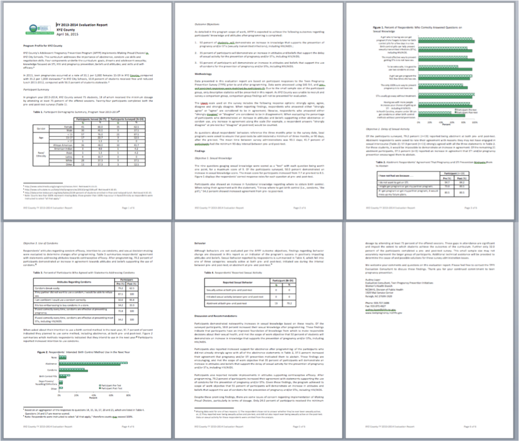 I was sending my sites six pages of mind-numbingly boring text, accompanied by a few yawn-worthy tables and graphs.