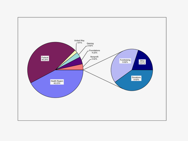 A screenshot of Kylie Hutchinson's "before" data visualization from 2009--a pie-within-pie chart.
